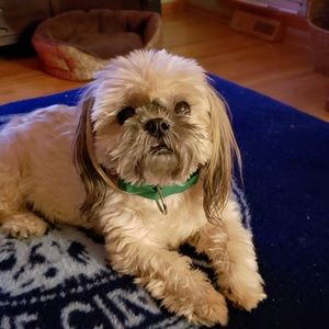 Meet your Posher, Lana